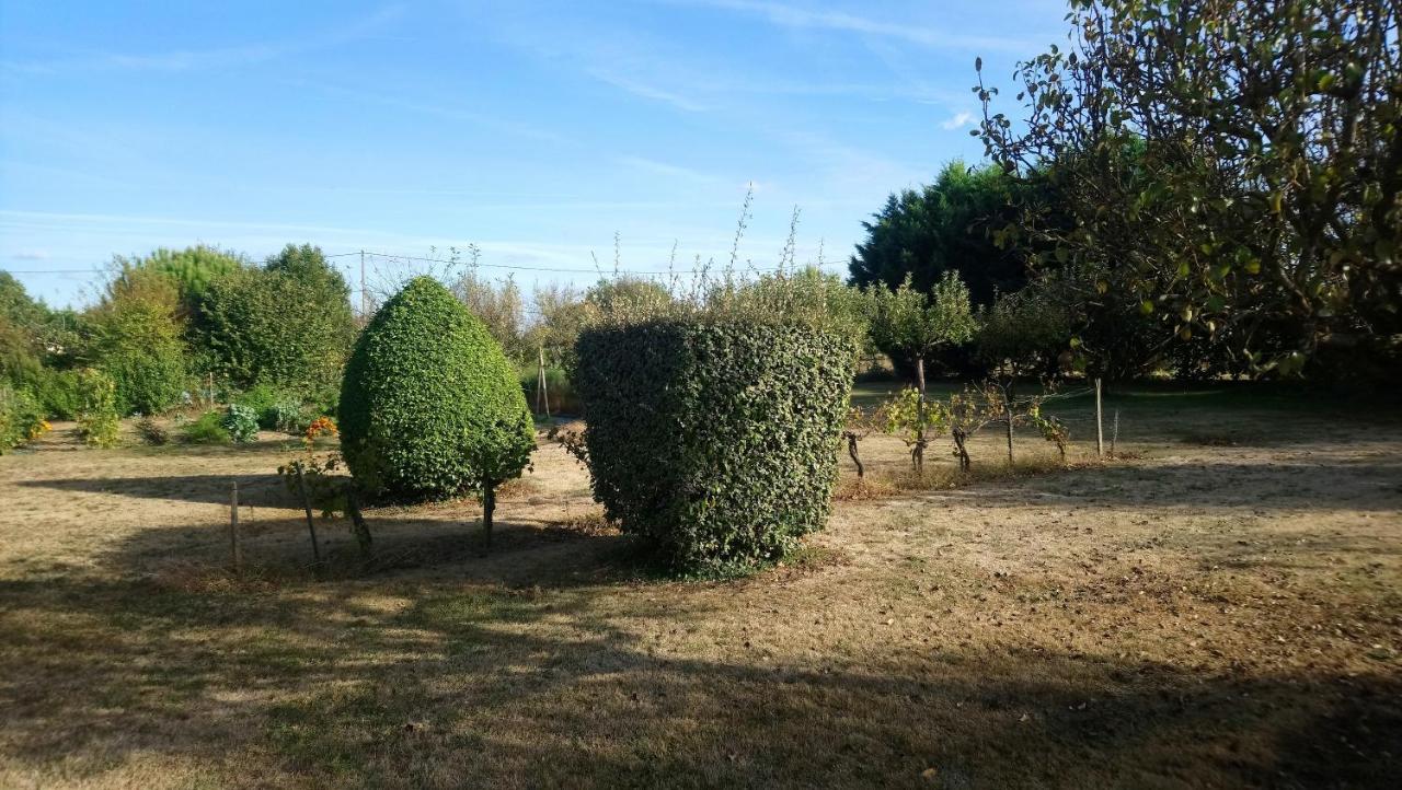 Chambres D'hotes Du Domaine De Lansac Bed & Breakfast